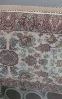 چهارعدد پشتی