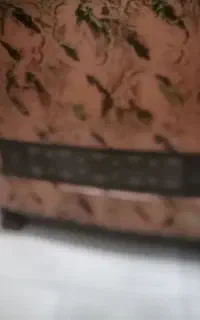 بخاری در حد نو