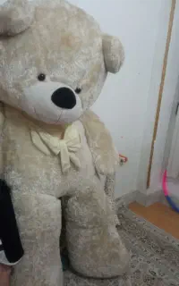 خرس کرم رنگ