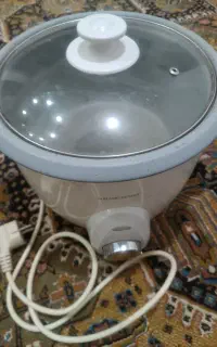 پلو پز سالم