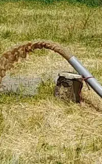 پمپاژ و تمیزکاری چاه با کفکش و لایروبی چاه