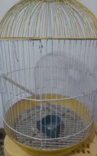 قفس پرنده