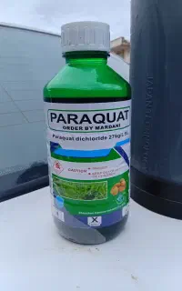 پاراکوات اصلی