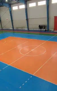 بازیکن و سالن برای والیبال تفریحی