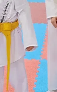 اموزش حرفه ای کاراته