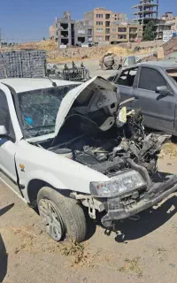 سمند تصادفی