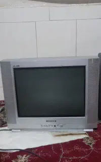 تلویزیون