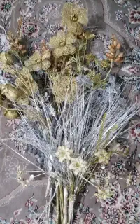 گل بدون گلدان