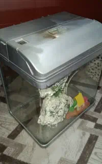 آکواریوم
