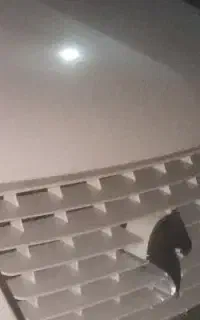 دربستی قم دائم