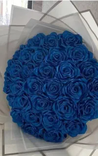 روز دختر رو فراموش نکردی که