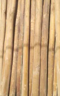 تیر چوبی گرد