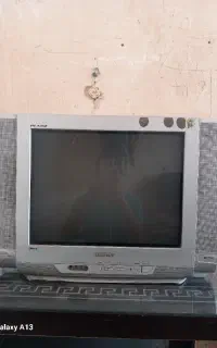 تلوزیون