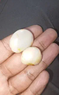 مهره