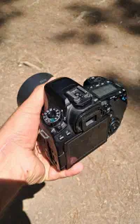 دوربین 80d با لنز ۵۰ فیکس