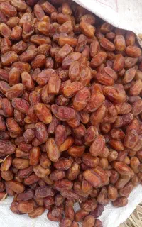 خرما کلگی تمیز درجه یک