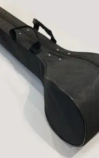 هارد کیس سه تار