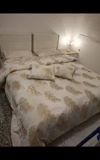 روتختی برند لاویتا نو