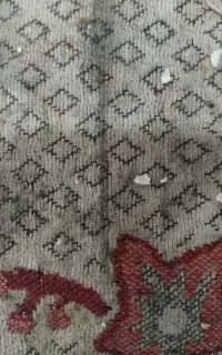 گلاب کشی ۱۲۰لیتری