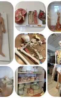 تدریس خصوصی