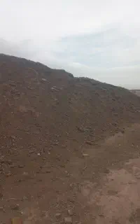 کوده گوسفند