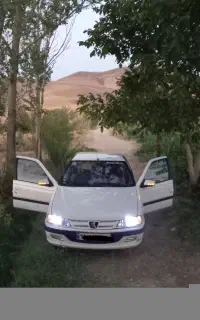 پارس
