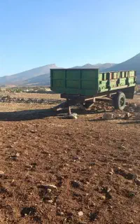 تریلی دوچرخ اصلی