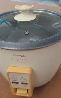 پلو پز