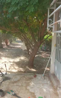 باغبانی