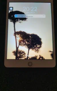 ipad mini 4 64 gig