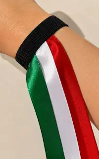 مچ بند پرچم ایران