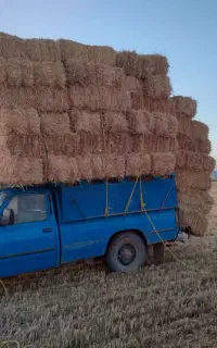 حمل بار