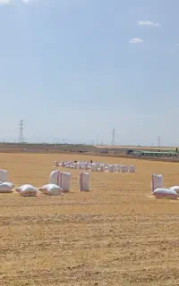باعرض سلام. ۳هکتارزمین برای کشت پسته