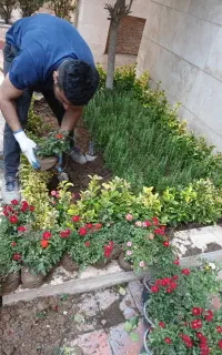 باغبانی باغچه کاری گل کاری درخت کاری هرسکاری خدمات