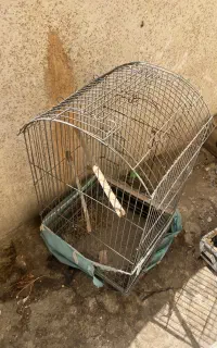 قفس کاسکویی