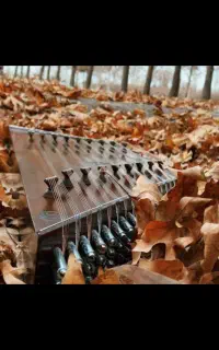 آموزش موسیقی(سنتور) در موسسه معتبر