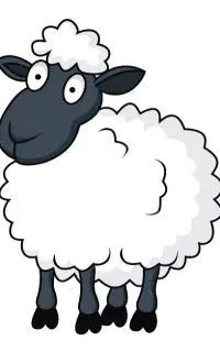 ذبح گوسفند قربانی