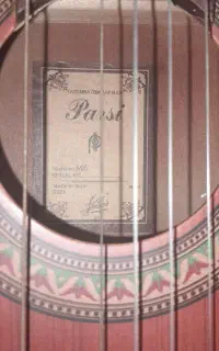 گیتار پارسی m6