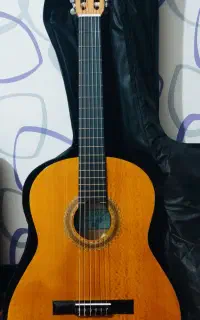 گیتار مدل یونیک C80