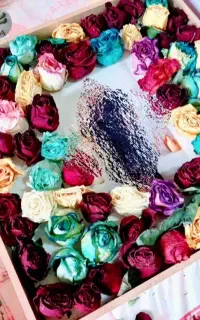 تابلو گل های خشک