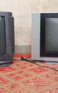 تلویزیون