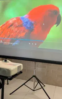 ویدئو پروژکتور کافه و مساجد