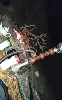 قلیان پارس آباد صفر