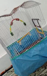 قفس پرنده