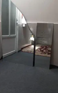 دوعدد آینه