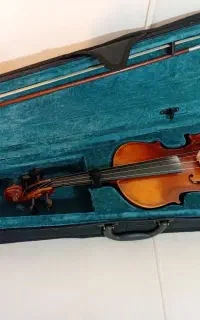 ویلن حرفه ای و خوش صدا