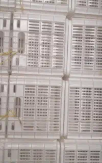 استخدام در کارگاه تولید سبد میوه