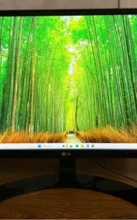 مانیتور LG 29UM68-P