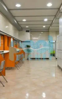 کارت استخر دلفین سفید
