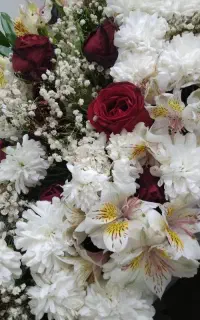 نگین امید / نگین زرین